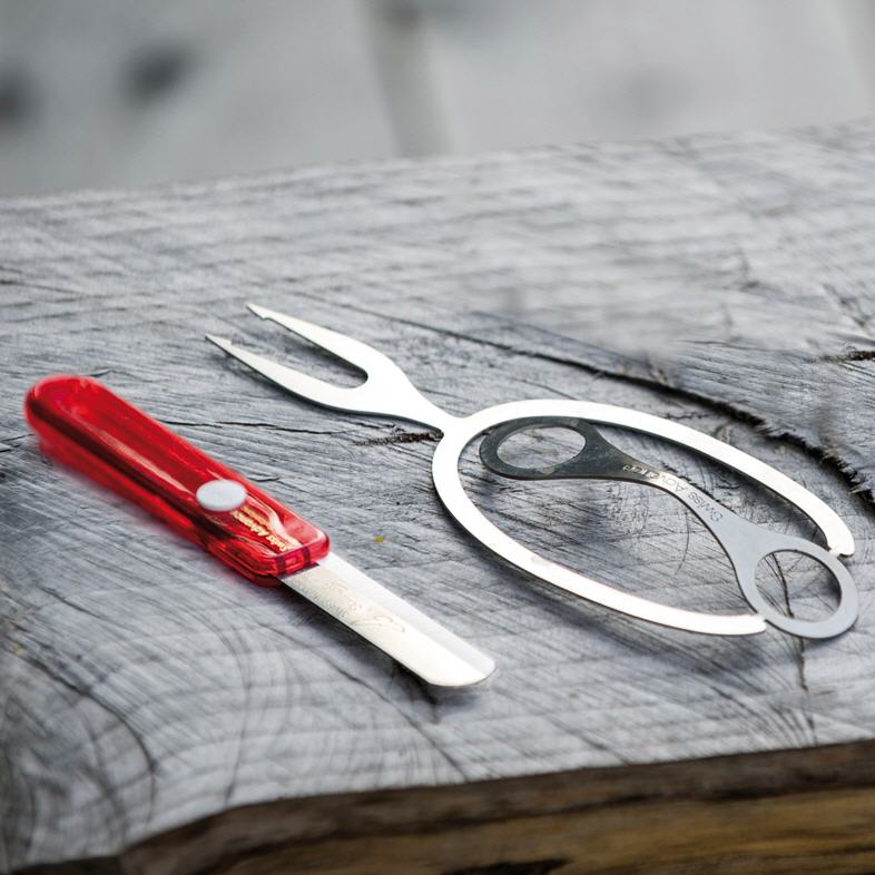 Cutlery Knife & Grill Fork