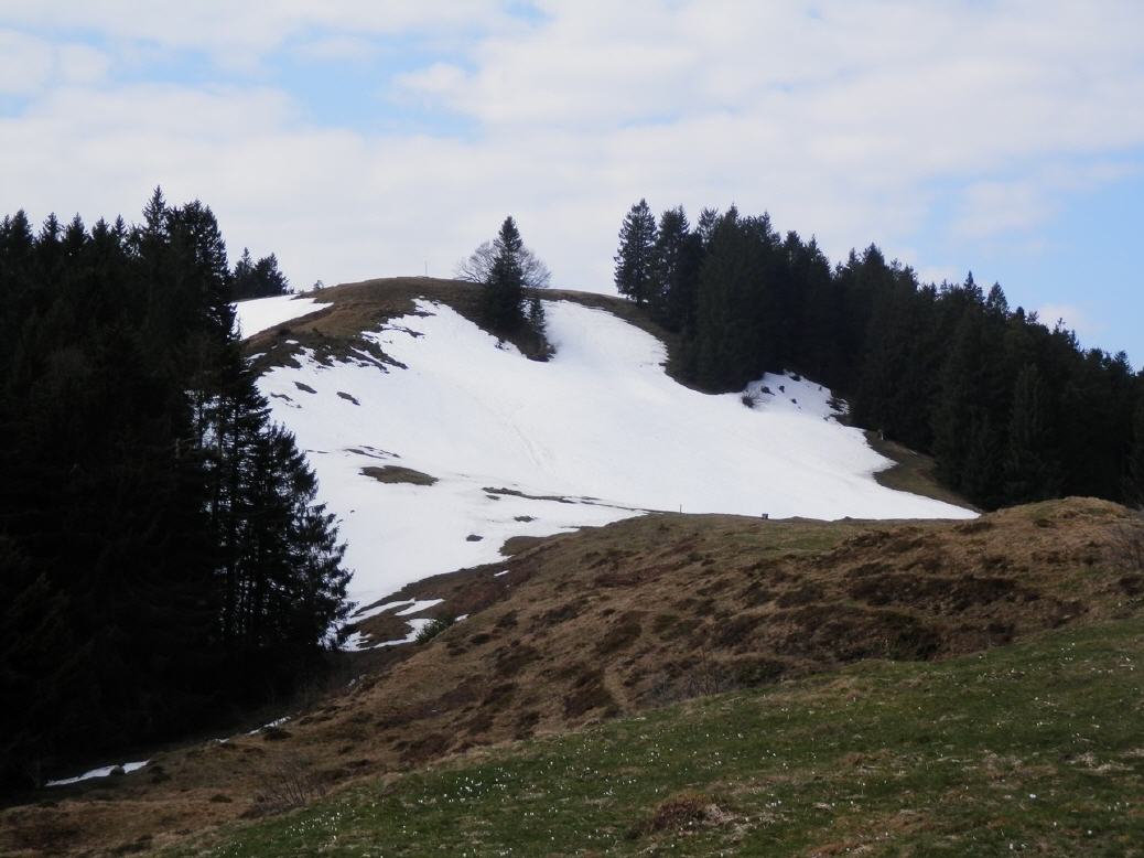 Regelstein 1315 m