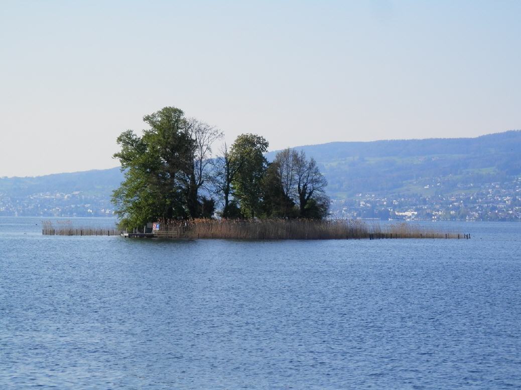 drittgrösste natürliche Insel im Zürichsee